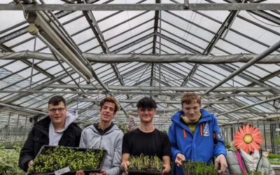 Frische Microgreens für das Werner-Richard-Berufskolleg